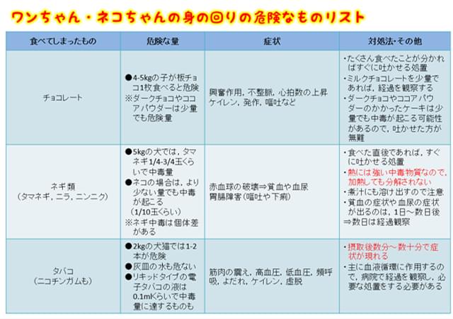 異物・中毒物質の誤食について